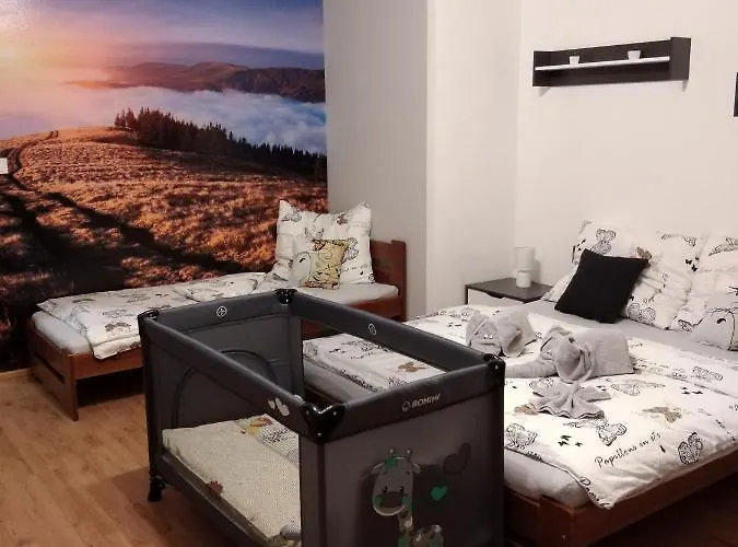 Apartman Nad Rekou Lägenhet Vejprty